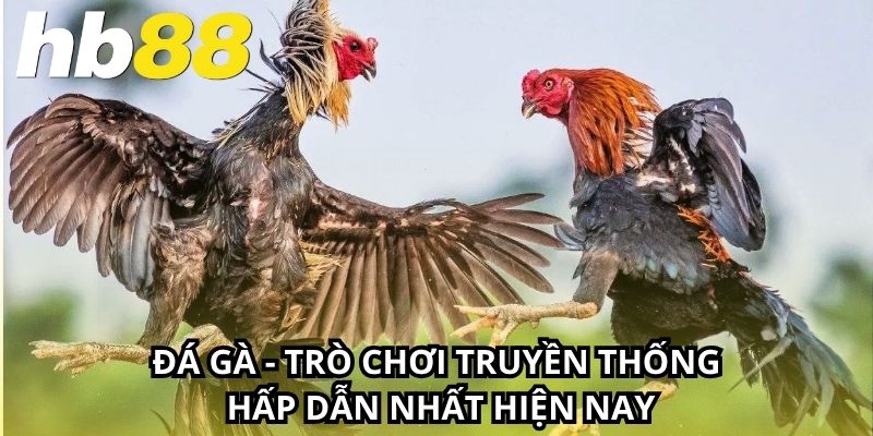 Đá Gà