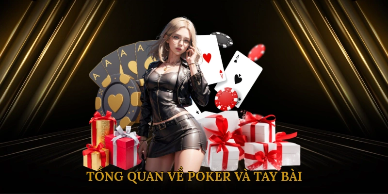 Tổng Quan Về Poker Và Tay Bài (Hand)