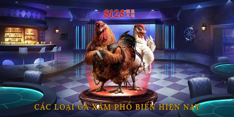 Các loại gà xám phổ biến hiện nay