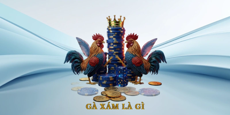 Gà xám là gì? Nguồn gốc và ý nghĩa trong giới kê thủ