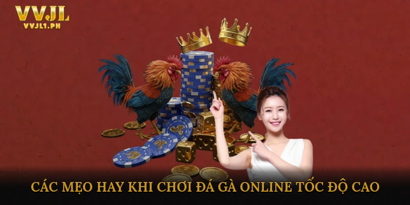 Các Mẹo Hay Khi Chơi Đá Gà Online Tốc Độ Cao