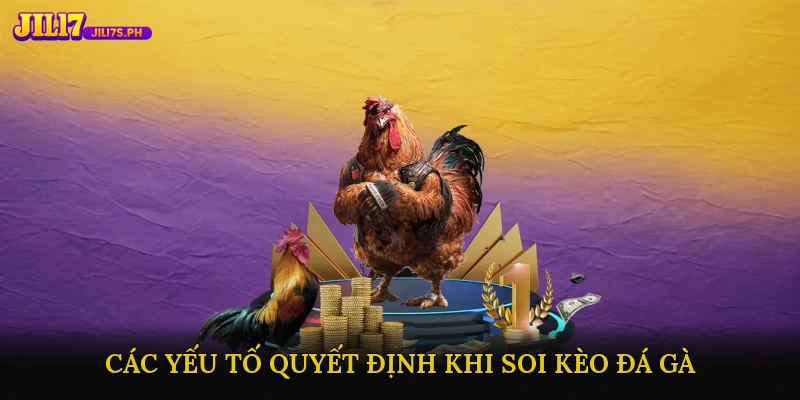 Các yếu tố quyết định tỷ lệ thắng khi soi kèo đá gà
