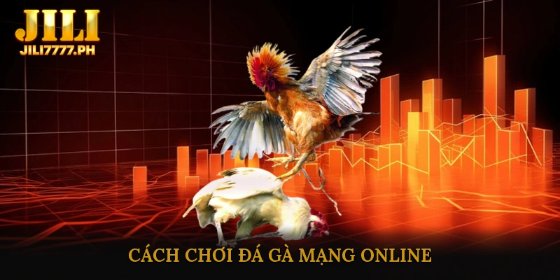 Cách Chơi Đá Gà Mạng Online