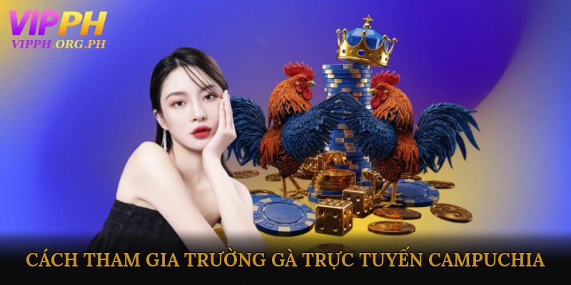 Hướng Dẫn Cách Tham Gia Trường Gà Trực Tuyến Campuchia