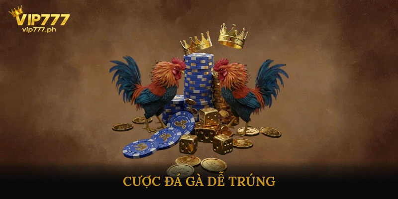Cược Đá Gà Dễ Trúng