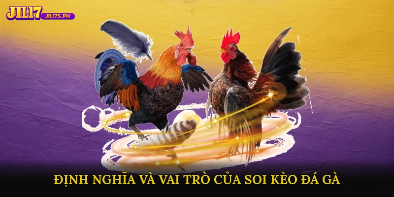 Định nghĩa và vai trò của soi kèo đá gà