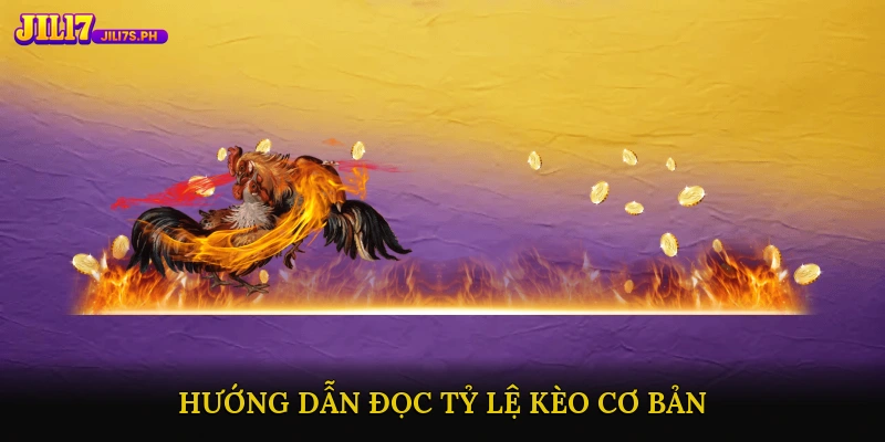 Hướng dẫn đọc tỷ lệ kèo cơ bản