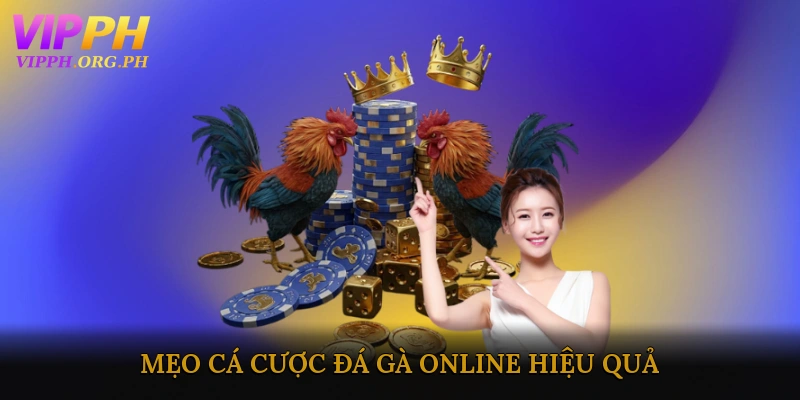 Mẹo Cá Cược Đá Gà Online Hiệu Quả