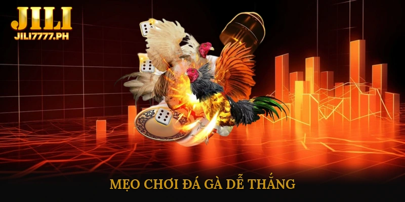 Mẹo Chơi Đá Gà Dễ Thắng