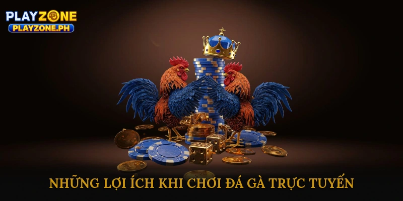 Những Lợi Ích Khi Chơi Đá Gà Trực Tuyến