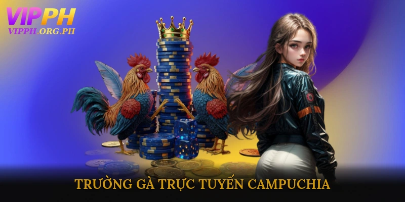 Trường gà trực tuyến Campuchia