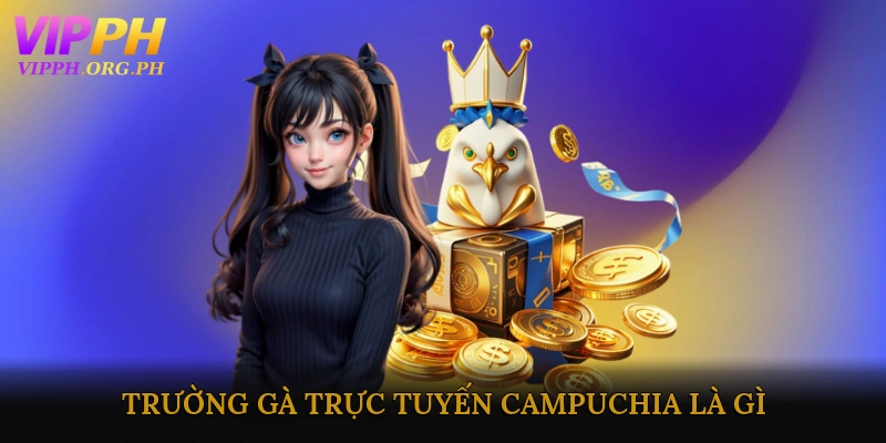 Trường Gà Trực Tuyến Campuchia Là Gì?