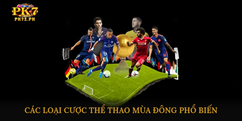 Các loại cược thể thao mùa đông phổ biến