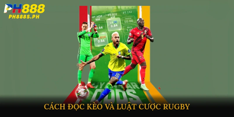 Cách đọc kèo và luật cược Rugby