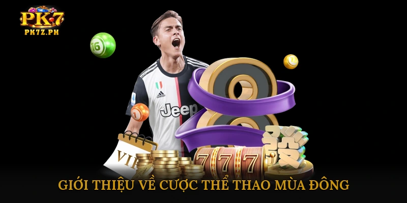 Giới thiệu về cược thể thao mùa đông