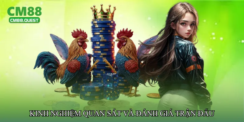 Kinh nghiệm quan sát và đánh giá trận đấu